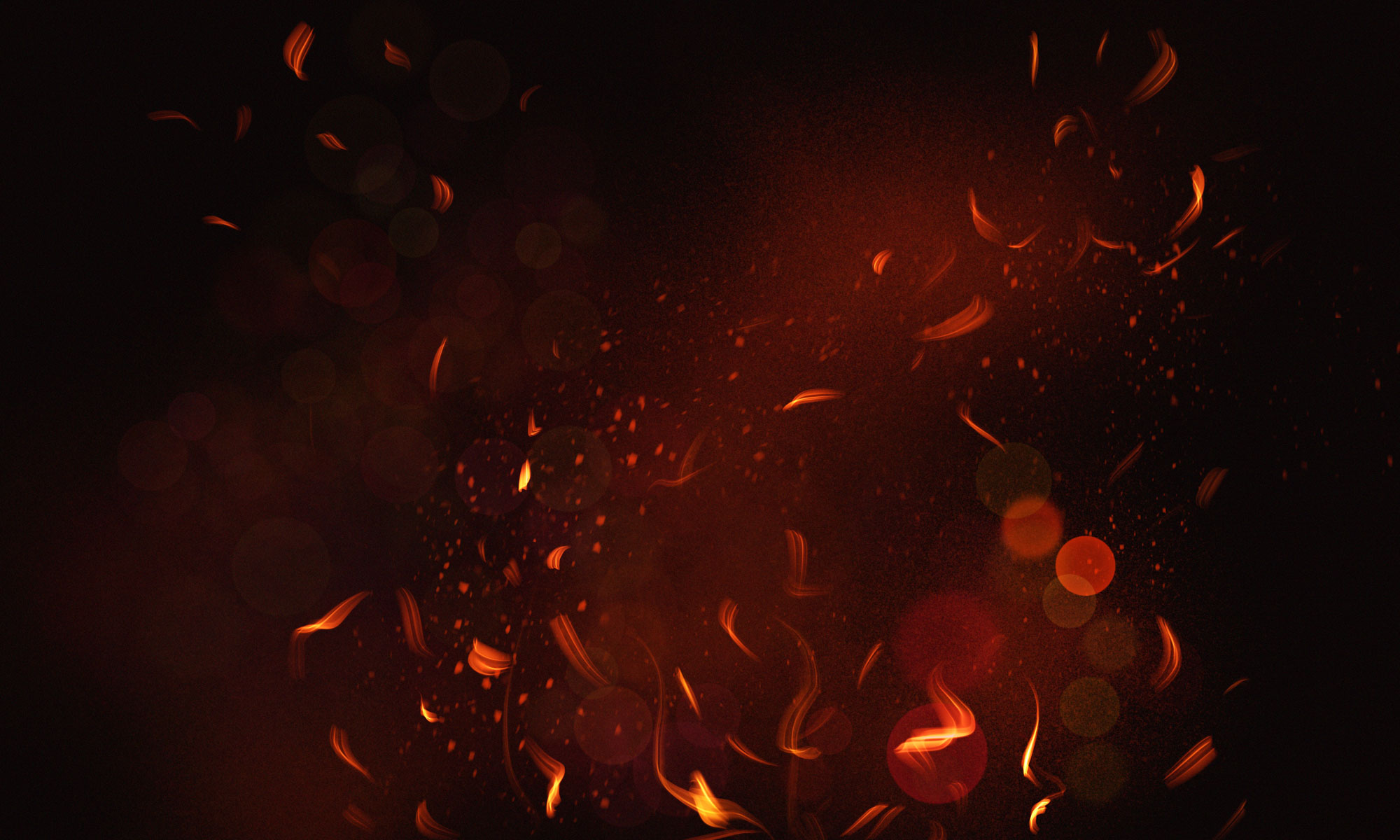 What They Say About Us